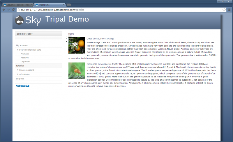 Tripal-v1.1 views new final.png