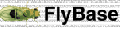 FlyBaseMainPageIcon.png