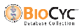 BioCycDC.gif