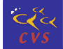 Cvs logo.gif
