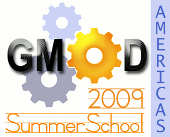 2009 Summer School - Americas