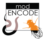 modENCODE Project Openings