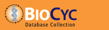 EcoCyc website