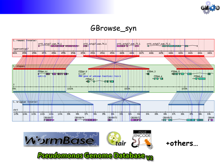 GBrowse synSlide7.png