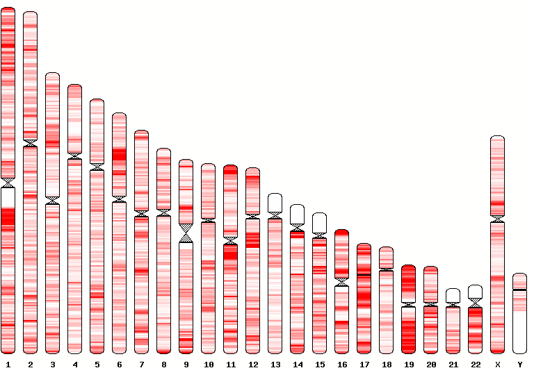 Gene density.png