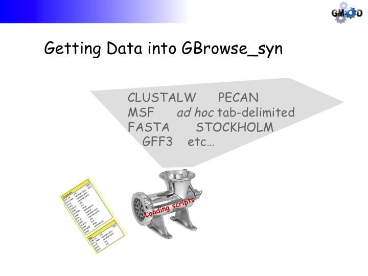 GBrowse synSlide17.png