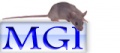 Mgi logo.jpg