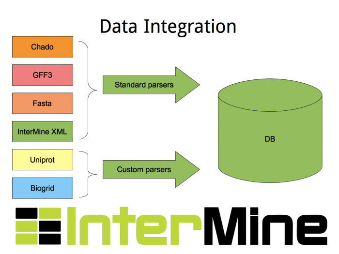 InterMine-dataparsing.png
