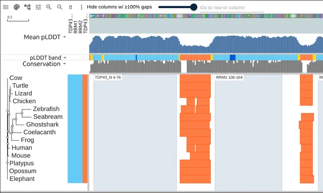 Fourteen TDP-43 rows with a mean pLDDT bar track above and each row's low-confidence runs drawn in orange over its C-terminal half