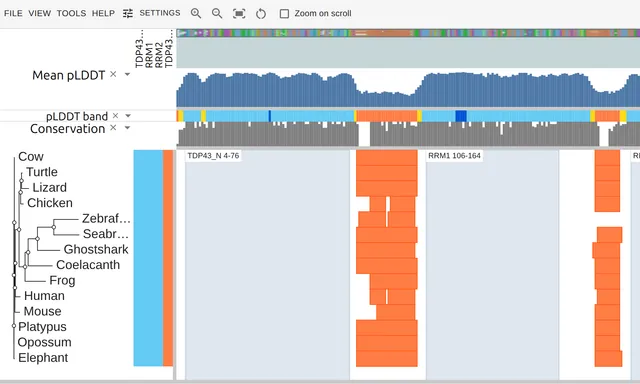 Fourteen TDP-43 rows with a mean pLDDT bar track above and each row's low-confidence runs drawn in orange over its C-terminal half
