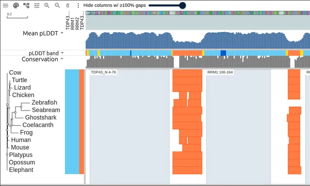 Fourteen TDP-43 rows with a mean pLDDT bar track above and each row's low-confidence runs drawn in orange over its C-terminal half