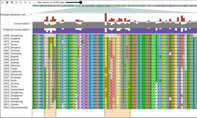 Antigenic site B across 25 influenza vaccine strains in year order, the letters under the two bands turning over every few rows