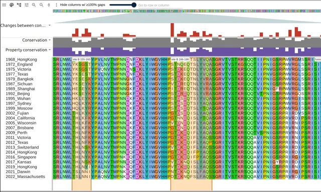 Antigenic site B across 25 influenza vaccine strains in year order, the letters under the two bands turning over every few rows