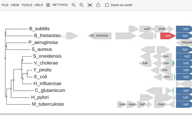 Twelve rows of bacterial gene arrows aligned on trpE, the trp operon reading as columns of color beside the TrpB tree