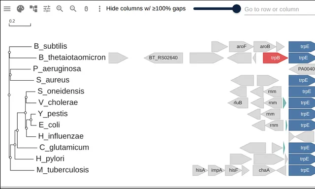 Twelve rows of bacterial gene arrows aligned on trpE, the trp operon reading as columns of color beside the TrpB tree