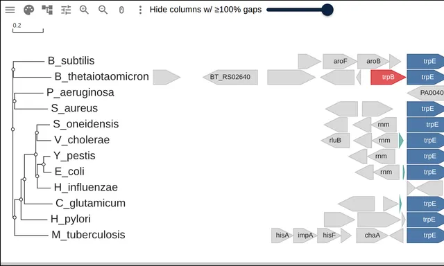 Twelve rows of bacterial gene arrows aligned on trpE, the trp operon reading as columns of color beside the TrpB tree