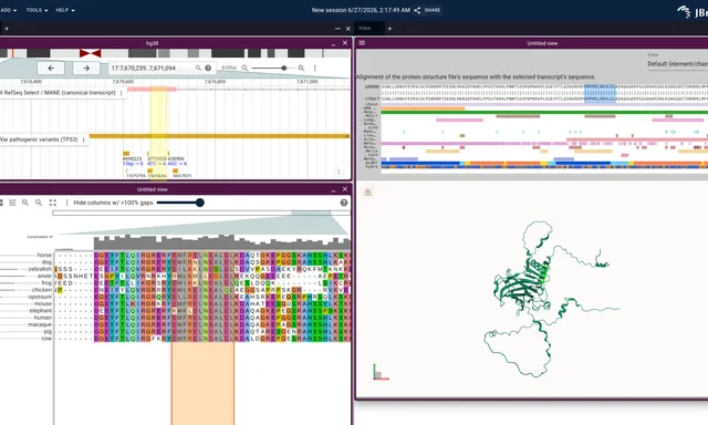 One JBrowse session holding the TP53 gene with ClinVar, the p53 ortholog alignment and the AlphaFold structure, connected
