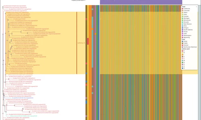An H5N1 tree with tip labels colored by state, nine color strips beside it, labeled brackets in the gutter and the whole tree in an overview band above