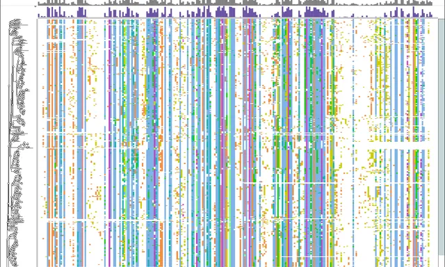 474 human kinase domains as one alignment beside their tree, the conserved catalytic columns standing out as solid stripes