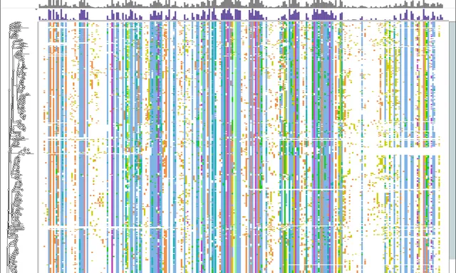 474 human kinase domains as one alignment beside their tree, the conserved catalytic columns standing out as solid stripes