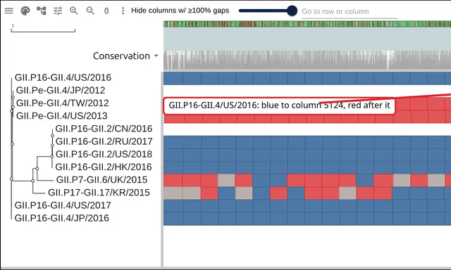 Twelve norovirus rows of 200-base windows colored by closer parent, three of them turning from blue to red at the ORF1/ORF2 junction