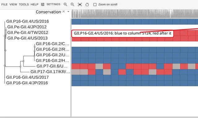 Twelve norovirus rows of 200-base windows colored by closer parent, three of them turning from blue to red at the ORF1/ORF2 junction