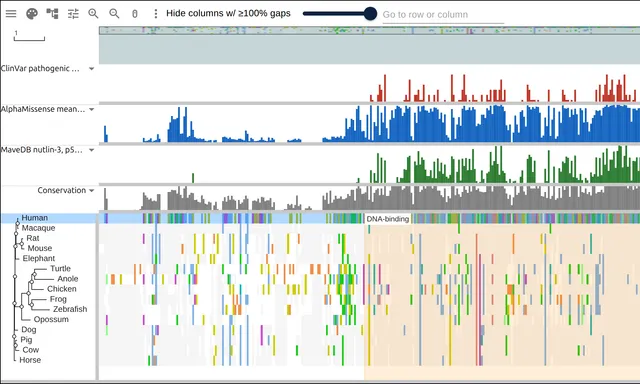 ClinVar, AlphaMissense and MaveDB bar tracks over a p53 ortholog alignment, all three peaking on the DNA-binding domain
