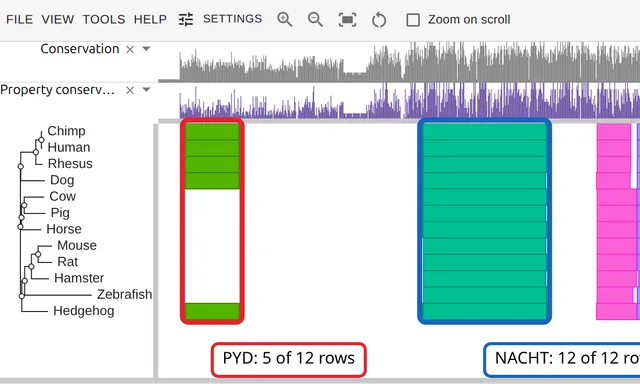 Twelve NLRP1 orthologs with their Pfam domains as colored blocks, the pyrin domain present in only five rows
