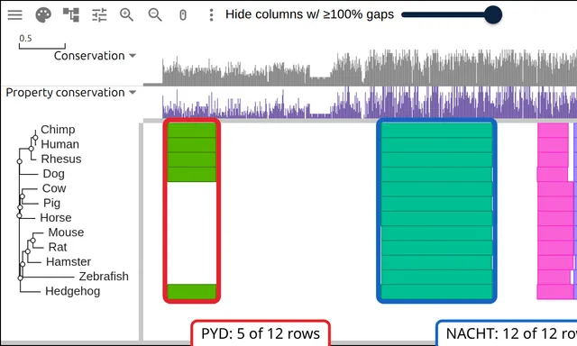 Twelve NLRP1 orthologs with their Pfam domains as colored blocks, the pyrin domain present in only five rows