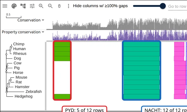 Twelve NLRP1 orthologs with their Pfam domains as colored blocks, the pyrin domain present in only five rows