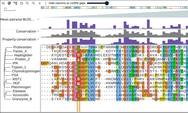 The GDSGGP motif of nine serine proteases beside five relatives that read A, M, Y or G at the catalytic serine