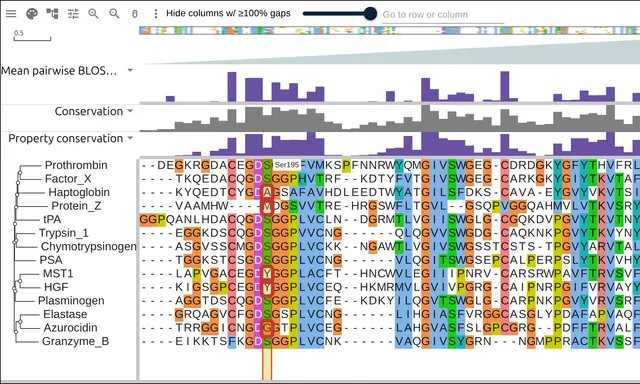 The GDSGGP motif of nine serine proteases beside five relatives that read A, M, Y or G at the catalytic serine