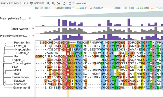 The GDSGGP motif of nine serine proteases beside five relatives that read A, M, Y or G at the catalytic serine