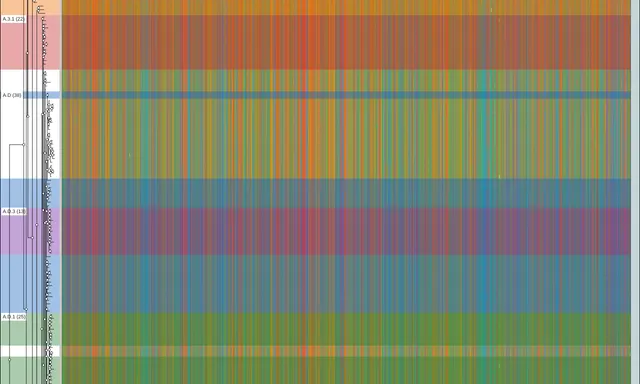 1,840 RSV genomes as one alignment beside their tree, the clades reading as labeled bands of color