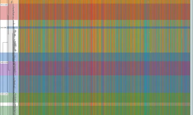 1,840 RSV genomes as one alignment beside their tree, the clades reading as labeled bands of color