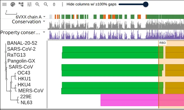 Eleven coronavirus spike proteins with their domains as colored blocks and a track marking the residues PDB 6VXX resolved