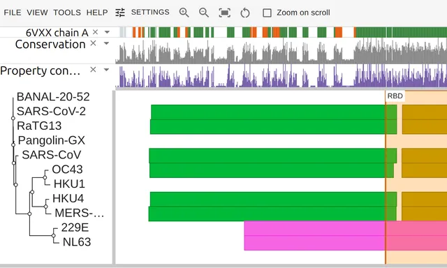 Eleven coronavirus spike proteins with their domains as colored blocks and a track marking the residues PDB 6VXX resolved