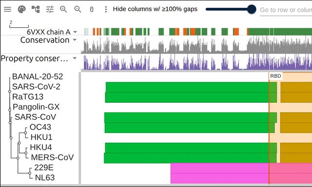Eleven coronavirus spike proteins with their domains as colored blocks and a track marking the residues PDB 6VXX resolved