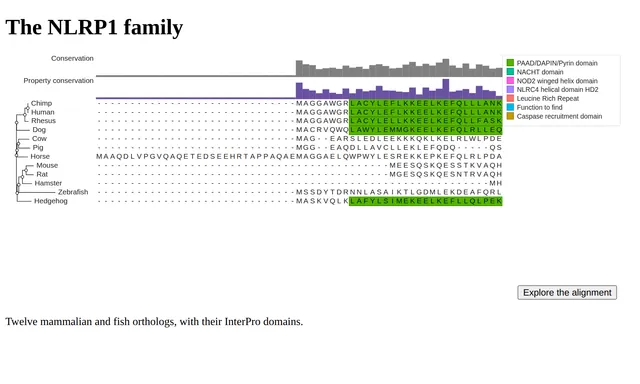 A web page showing the NLRP1 alignment as a static figure, with an Explore the alignment button in its corner
