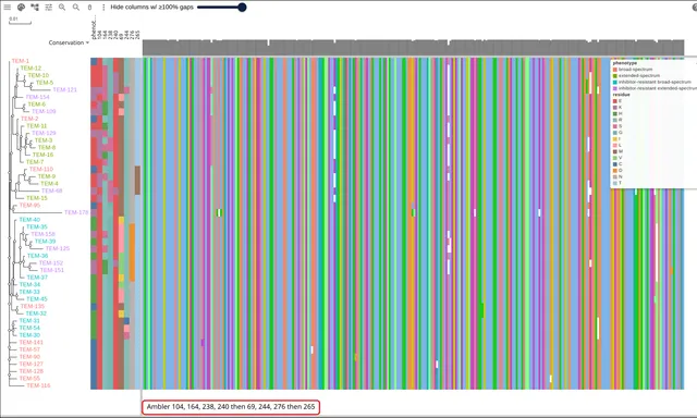 Forty-six TEM allele rows with a phenotype strip and eight residue strips beside the tree, tip labels colored by phenotype