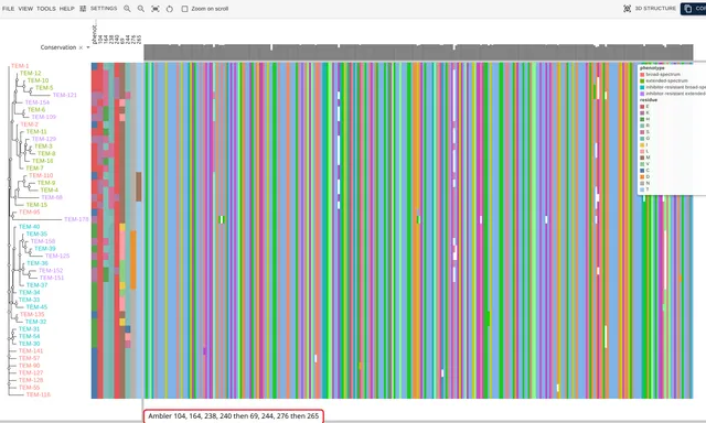Forty-six TEM allele rows with a phenotype strip and eight residue strips beside the tree, tip labels colored by phenotype