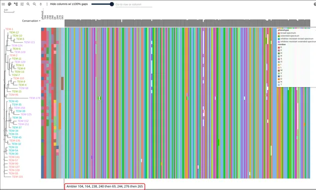 Forty-six TEM allele rows with a phenotype strip and eight residue strips beside the tree, tip labels colored by phenotype