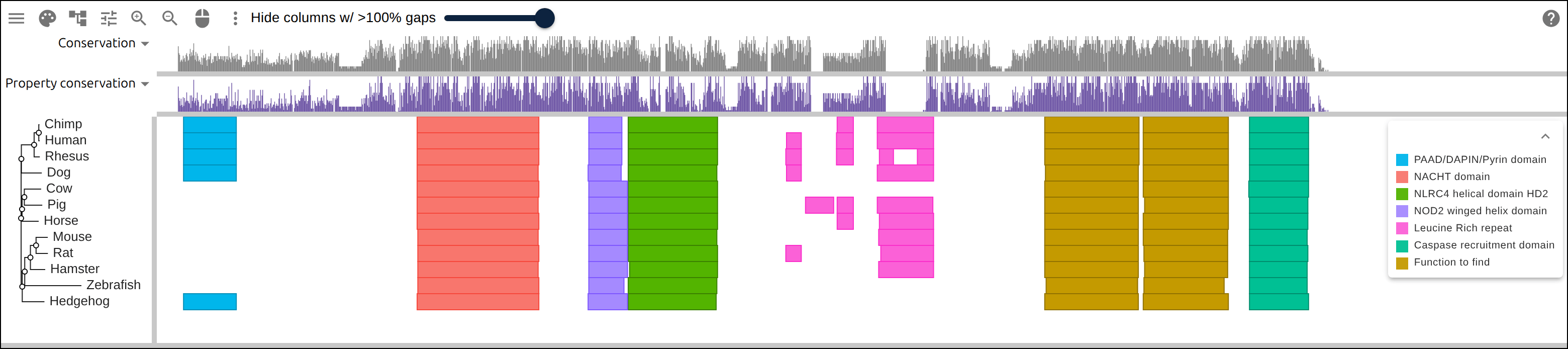 Twelve NLRP1 orthologs. Every row carries the same core — NACHT, winged helix, HD2, then FIIND/UPA and the CARD — and every one of those blocks lines up in the same columns. The N-terminal PYD (cyan) is there in only five rows, so the blank space under it is a module the other seven lack. Those core domains sit up to 391 residues apart between rows in their own coordinates; column-locking is what stacks them.