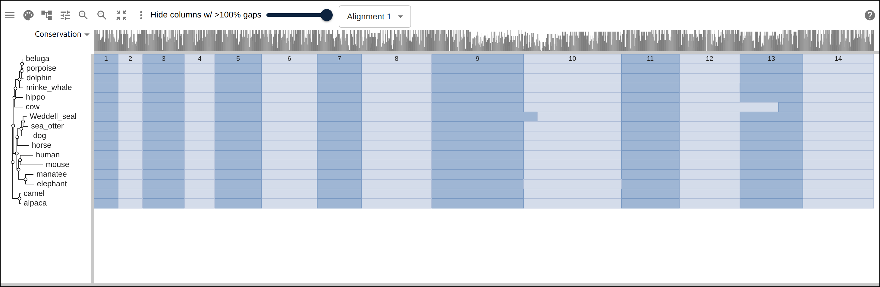 Coagulation factor XII coding alignment with its 14 exons overlaid — each exon the same color across species, through the same overlay path as InterProScan domains (built by react-msaview-cli genestructure). The whole gene’s exon architecture reads straight down the alignment.