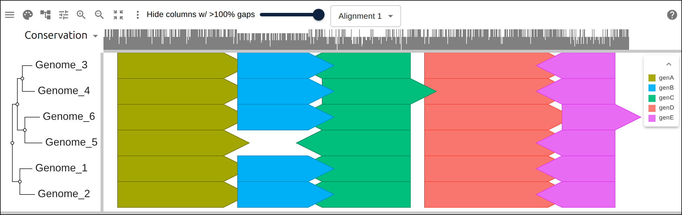 A gggenes-style gene cluster across genomes, each gene a strand-directed arrow anchored to alignment columns: one gene is inverted (the arrow flips) and one deleted (its columns gap out), yet every gene stays column-aligned.