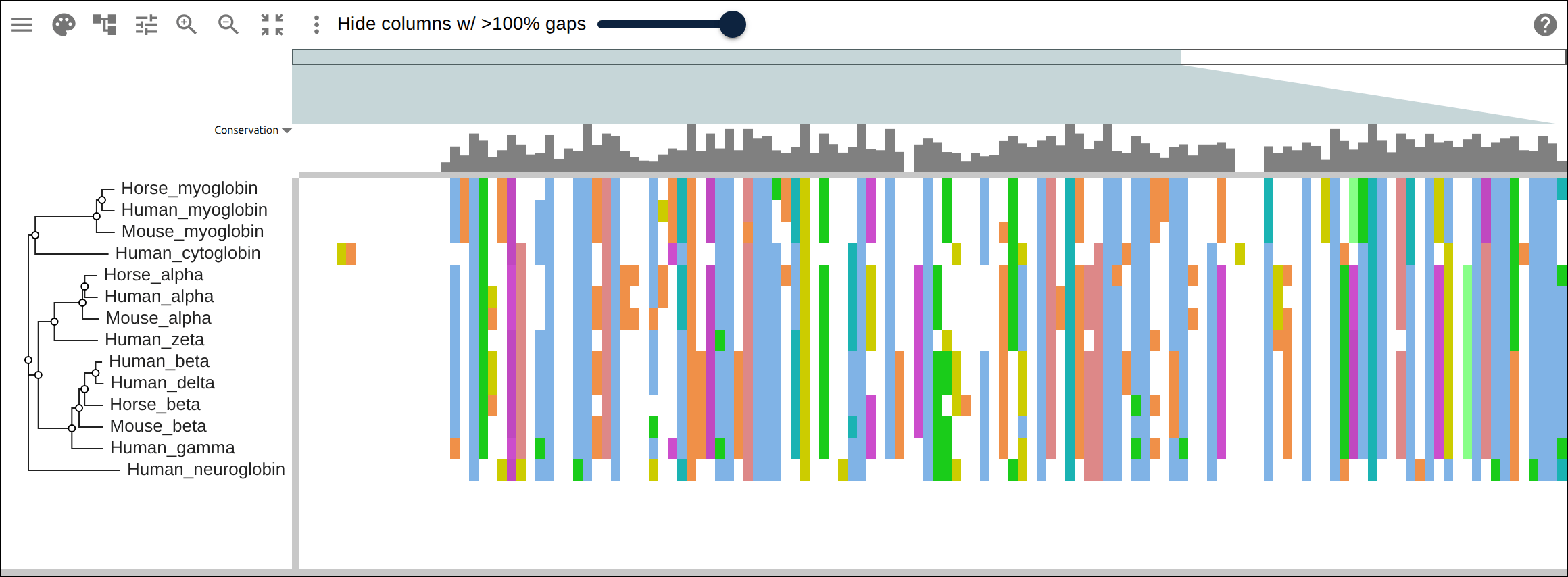 The globin family groups by globin type across species rather than by species — alpha beside alpha, beta beside beta — the signature of ancient gene duplication read off the tree.
