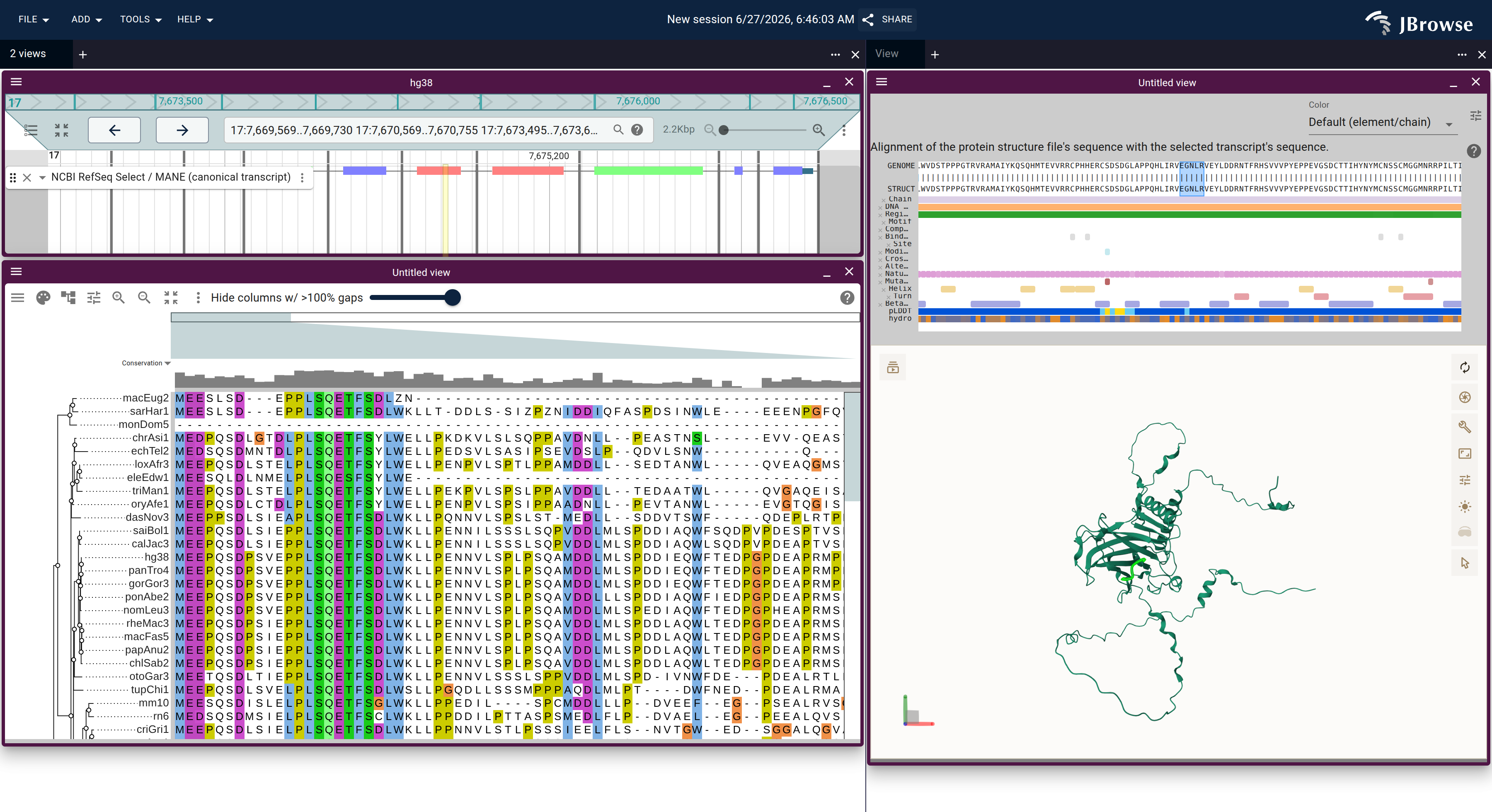 The gene explorer's connected session for TP53: a span of residues selected on the AlphaFold structure lights the same codons on the collapsed-intron genome view and the 100-way alignment