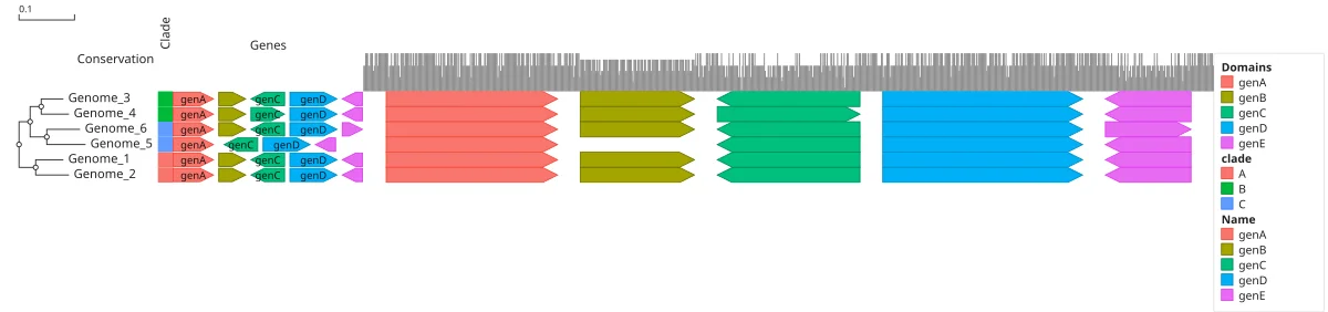 A gene cluster across six genomes, with each genome's clade in JBrowseMSA. Each genome's genes as arrows in its own coordinates, genC reversed in every one and genB missing from Genome_5, beside a strip of its clade.
