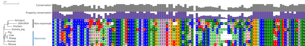 Clade brackets over the insulin tree in JBrowseMSA. A bracket names the five mammals and another the three non-mammals, each in the gutter beside the tree.