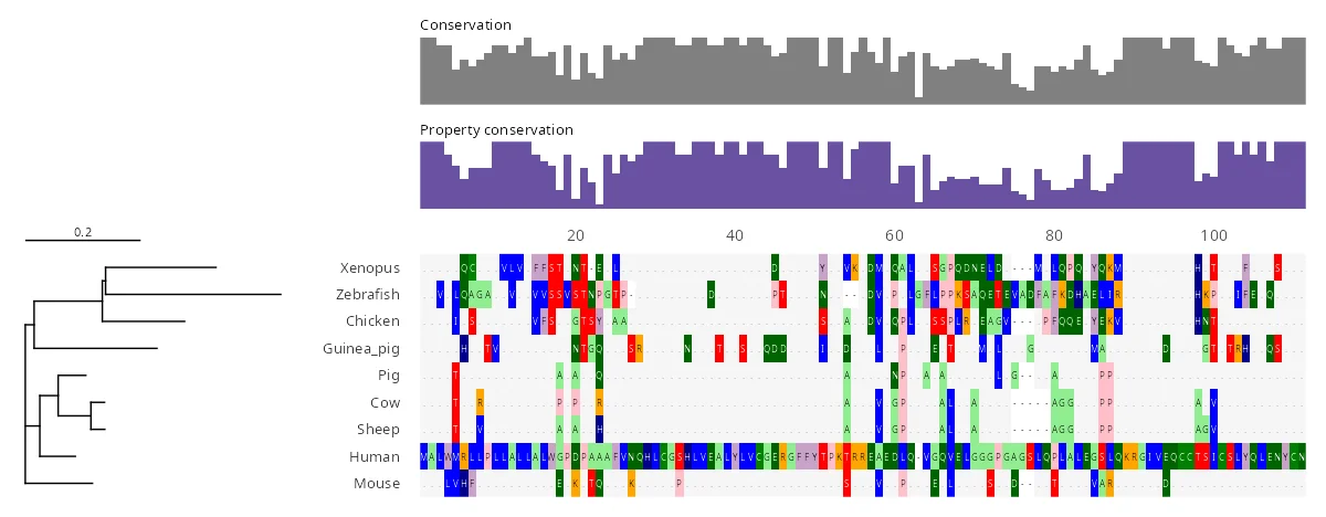 The same alignment drawn as its differences from human drawn by ggmsaview. Every residue matching the human row prints as a dot, so the substitutions stand out in the C-peptide and the signal peptide.